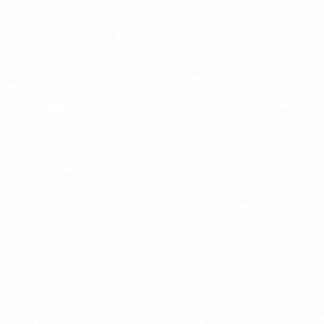 Go Go 401 Senior Care Transportation